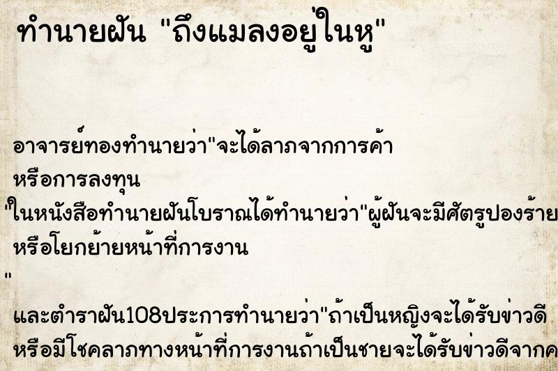ทำนายฝันถึงแมลงอยู่ในหู ทำนายฝันทำนายฝันถึงแมลงอยู่ในหู