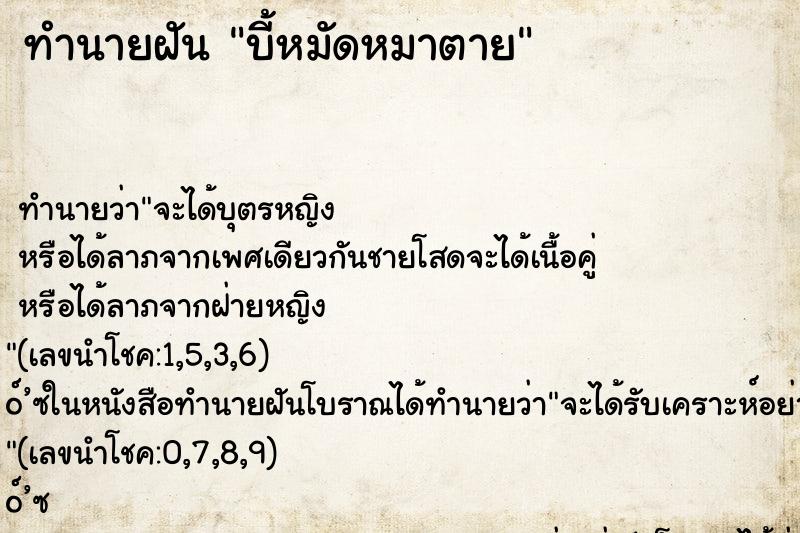 ทำนายฝันทำนายฝันบี้หมัดหมาตาย