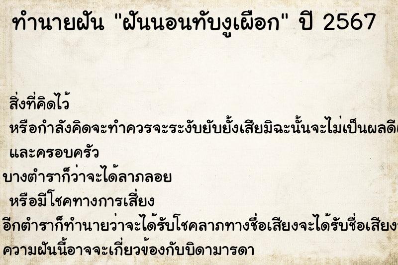 ทำนายฝันฝันนอนทับงูเผือก ทำนายฝันทำนายฝันฝันนอนทับงูเผือก