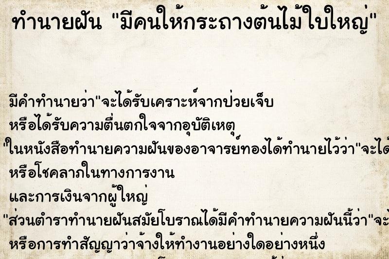 ทำนายฝัน มีคนให้กระถางต้นไม้ใบใหญ่ ทำนายฝัน มีคนให้กระถางต้นไม้ใบใหญ่