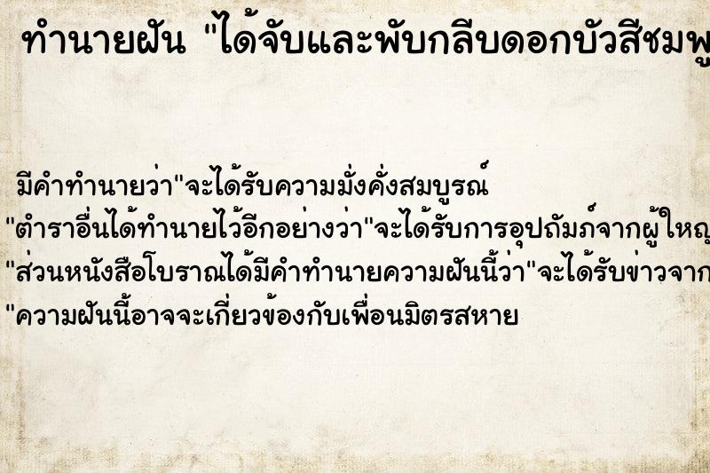 ทำนายฝัน ได้จับและพับกลีบดอกบัวสีชมพู ทำนายฝัน ได้จับและพับกลีบดอกบัวสีชมพู