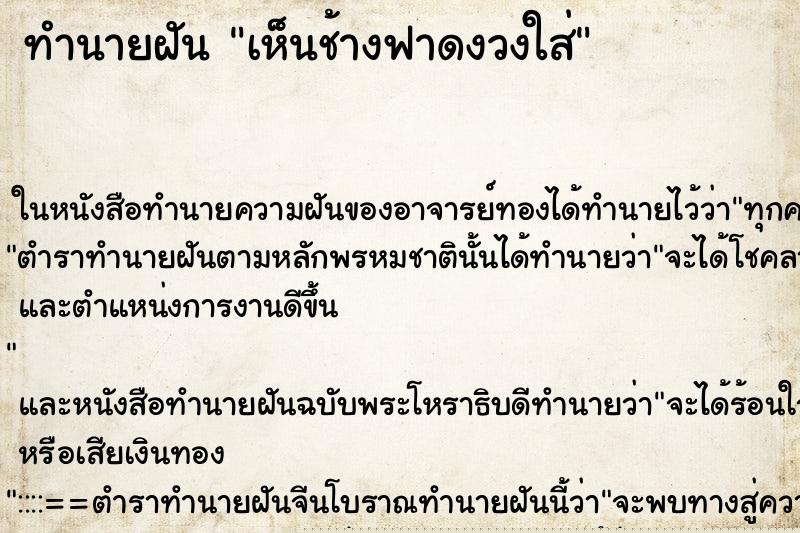 ทำนายฝันเห็นช้างฟาดงวงใส่ ทำนายฝันทำนายฝันเห็นช้างฟาดงวงใส่