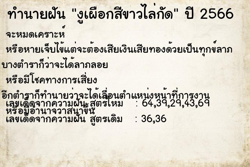 ทำนายฝันงูเผือกสีขาวไล่กัด ทำนายฝันทำนายฝันงูเผือกสีขาวไล่กัด