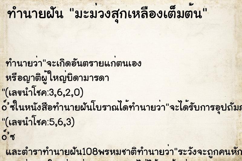 ทำนายฝัน มะม่วงสุกเหลืองเต็มต้น ทำนายฝัน มะม่วงสุกเหลืองเต็มต้น