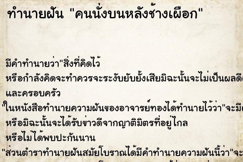 ทำนายฝันคนนั่งบนหลังช้างเผือก ทำนายฝันทำนายฝันคนนั่งบนหลังช้างเผือก