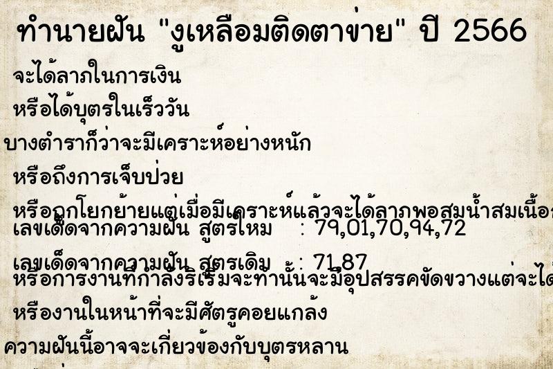 ทำนายฝันงูเหลือมติดตาข่าย ทำนายฝันทำนายฝันงูเหลือมติดตาข่าย