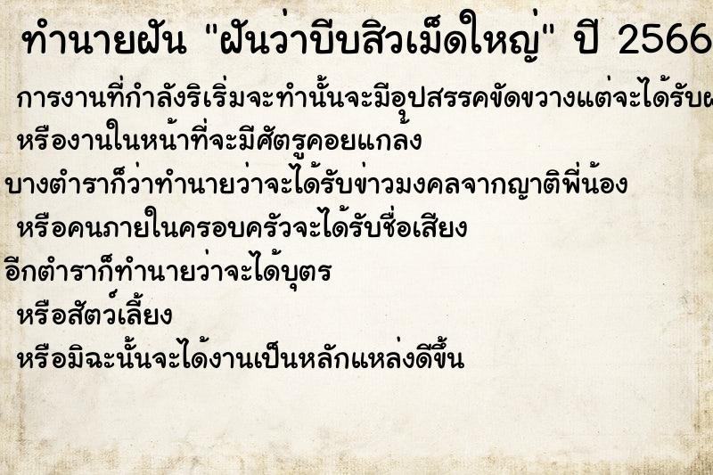 ทำนายฝันฝันว่าบีบสิวเม็ดใหญ่ ทำนายฝันทำนายฝันฝันว่าบีบสิวเม็ดใหญ่