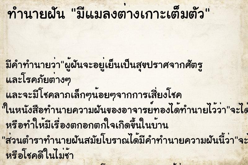 ทำนายฝันมีแมลงต่างเกาะเต็มตัว ทำนายฝันทำนายฝันมีแมลงต่างเกาะเต็มตัว