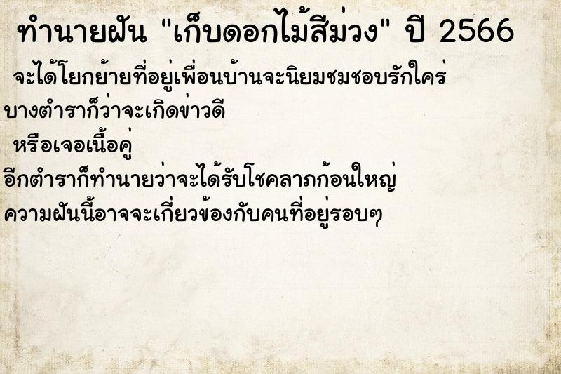ทำนายฝัน เก็บดอกไม้สีม่วง ทำนายฝัน เก็บดอกไม้สีม่วง