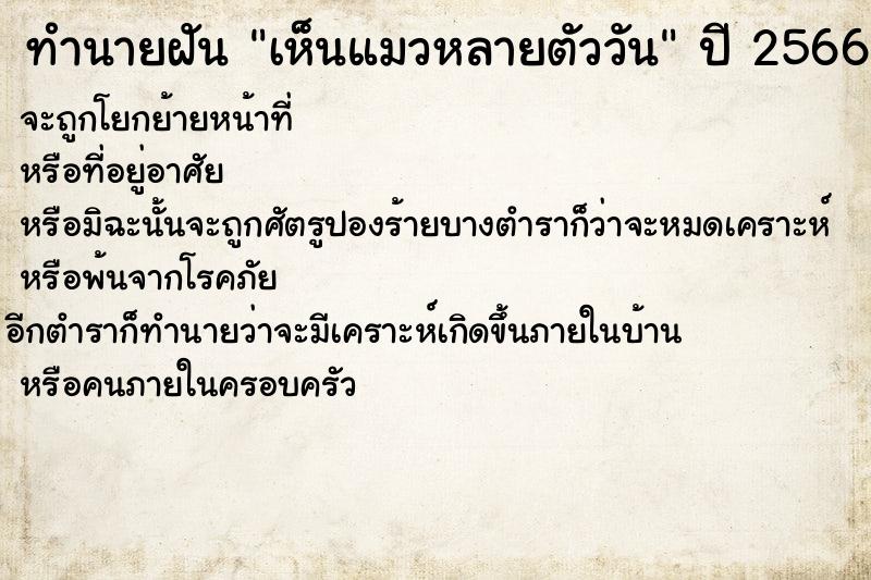 ทำนายฝันเห็นแมวหลายตัววัน ทำนายฝันทำนายฝันเห็นแมวหลายตัววัน