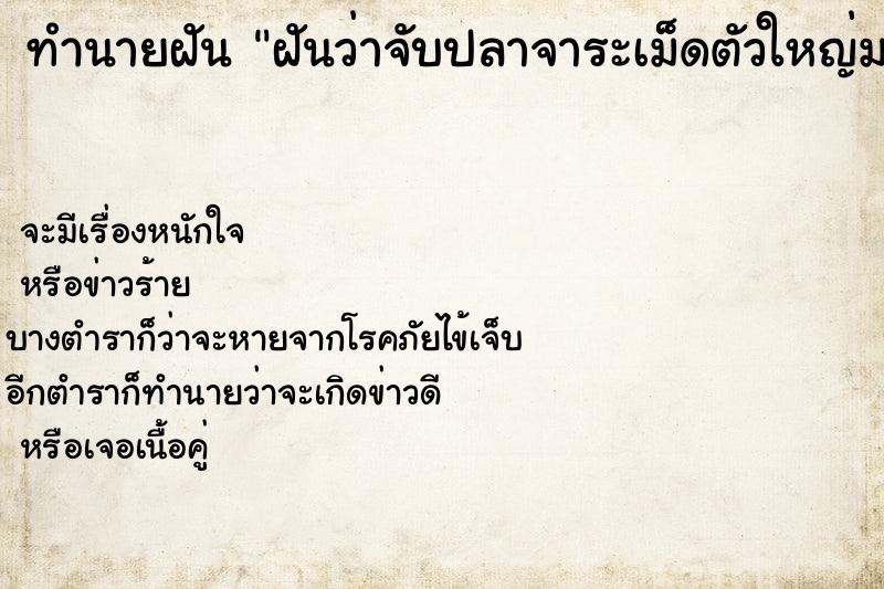 ทำนายฝันฝันว่าจับปลาจาระเม็ดตัวใหญ่มาก ทำนายฝันทำนายฝันฝันว่าจับปลาจาระเม็ดตัวใหญ่มาก