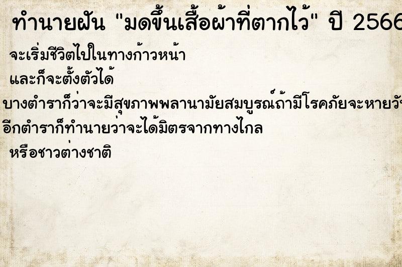 ทำนายฝันทำนายฝันมดขึ้นเสื้อผ้าที่ตากไว้