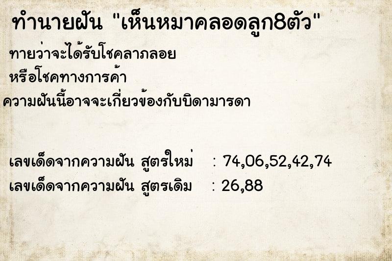 ทำนายฝันเห็นหมาคลอดลูก8ตัว ทำนายฝันทำนายฝันเห็นหมาคลอดลูก8ตัว