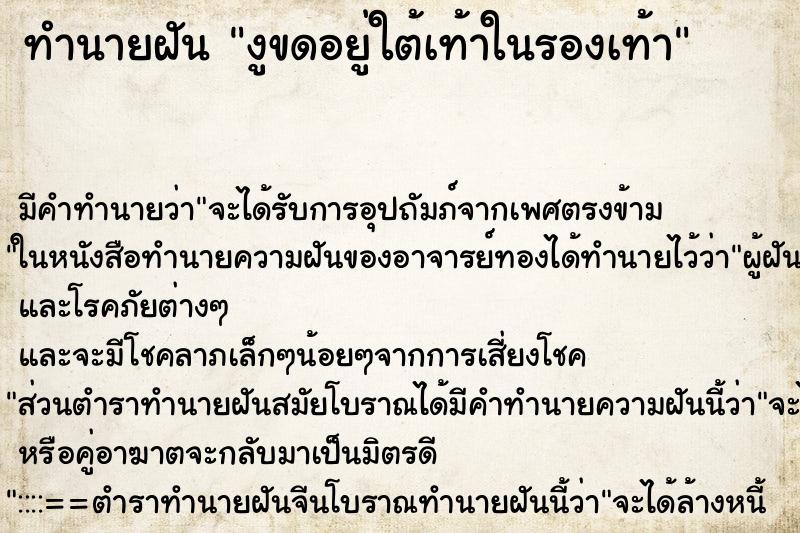 ทำนายฝันงูขดอยู่ใต้เท้าในรองเท้า ทำนายฝันทำนายฝันงูขดอยู่ใต้เท้าในรองเท้า