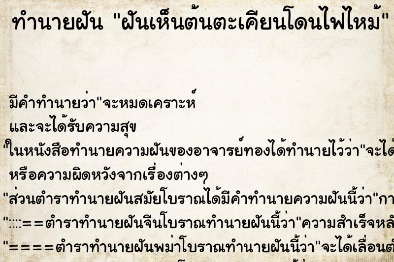 ทำนายฝันฝันเห็นต้นตะเคียนโดนไฟไหม้ ทำนายฝันทำนายฝันฝันเห็นต้นตะเคียนโดนไฟไหม้