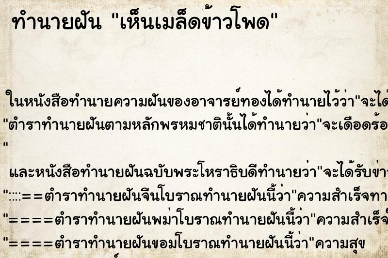 ทำนายฝันเห็นเมล็ดข้าวโพด ทำนายฝันทำนายฝันเห็นเมล็ดข้าวโพด