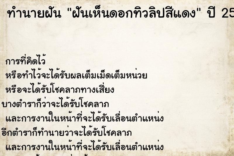 ทำนายฝันทำนายฝันฝันเห็นดอกทิวลิปสีแดง