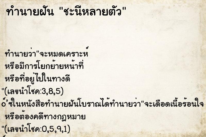 ทำนายฝันชะนีหลายตัว ทำนายฝันทำนายฝันชะนีหลายตัว