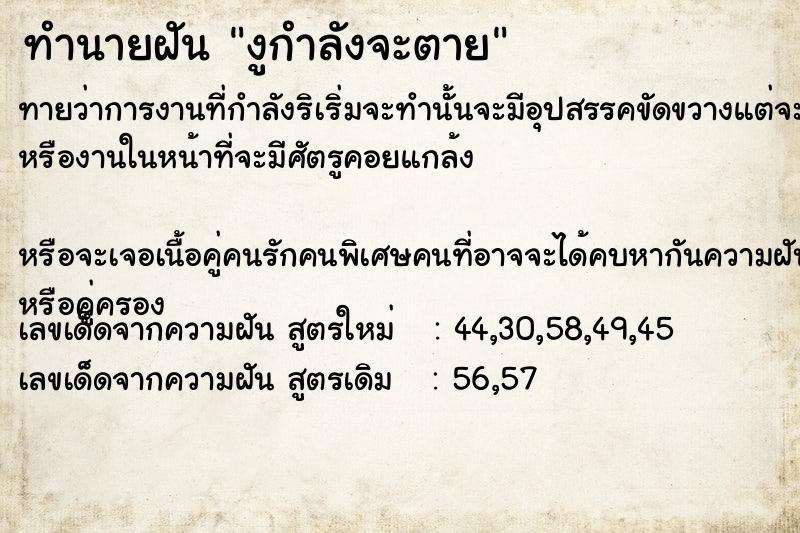ทำนายฝันงูกำลังจะตาย ทำนายฝันทำนายฝันงูกำลังจะตาย