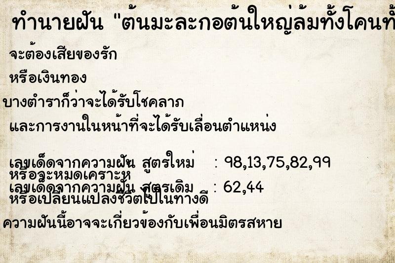 ทำนายฝัน ต้นมะละกอต้นใหญ่ล้มทั้งโคนทั้งราก ทำนายฝัน ต้นมะละกอต้นใหญ่ล้มทั้งโคนทั้งราก