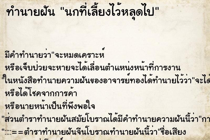 ทำนายฝัน นกที่เลี้ยงไว้หลุดไป ทำนายฝัน นกที่เลี้ยงไว้หลุดไป