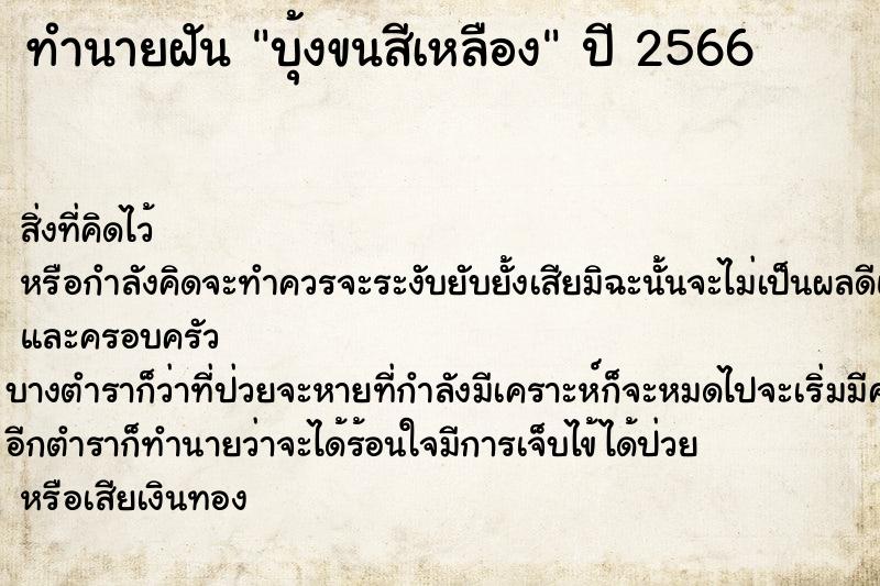 ทำนายฝันบุ้งขนสีเหลือง ทำนายฝันทำนายฝันบุ้งขนสีเหลือง