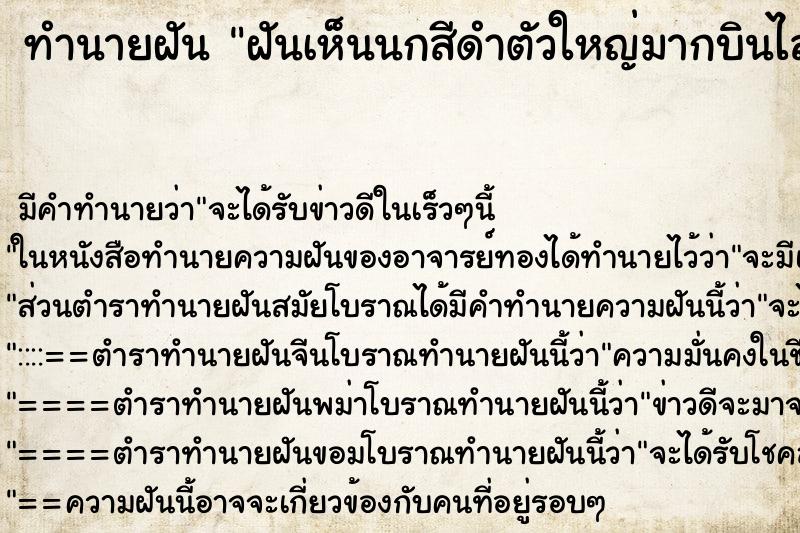 ทำนายฝัน ฝันเห็นนกสีดำตัวใหญ่มากบินไล่ตามทำร้าย ทำนายฝัน ฝันเห็นนกสีดำตัวใหญ่มากบินไล่ตามทำร้าย