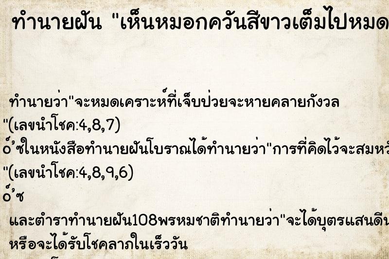 ทำนายฝันเห็นหมอกควันสีขาวเต็มไปหมด ทำนายฝันทำนายฝันเห็นหมอกควันสีขาวเต็มไปหมด
