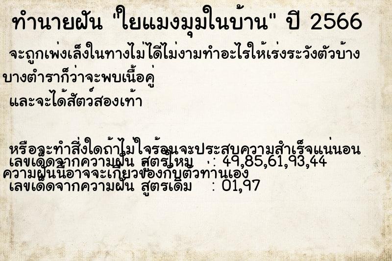 ทำนายฝันทำนายฝันใยแมงมุมในบ้าน