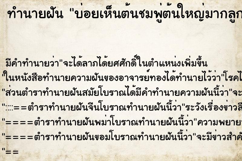 ทำนายฝันบ่อยเห็นต้นชมพู่ต้นใหญ่มากลูกดกเต็มต้น ทำนายฝันทำนายฝันบ่อยเห็นต้นชมพู่ต้นใหญ่มากลูกดกเต็มต้น