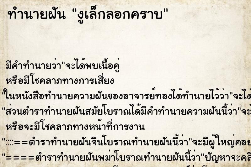 ทำนายฝันงูเล็กลอกคราบ ทำนายฝันทำนายฝันงูเล็กลอกคราบ