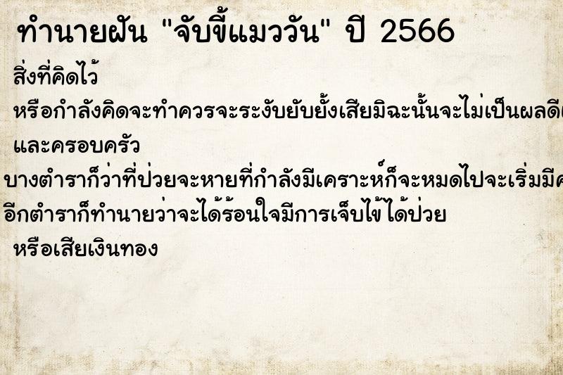 ทำนายฝันจับขี้แมววัน ทำนายฝันทำนายฝันจับขี้แมววัน