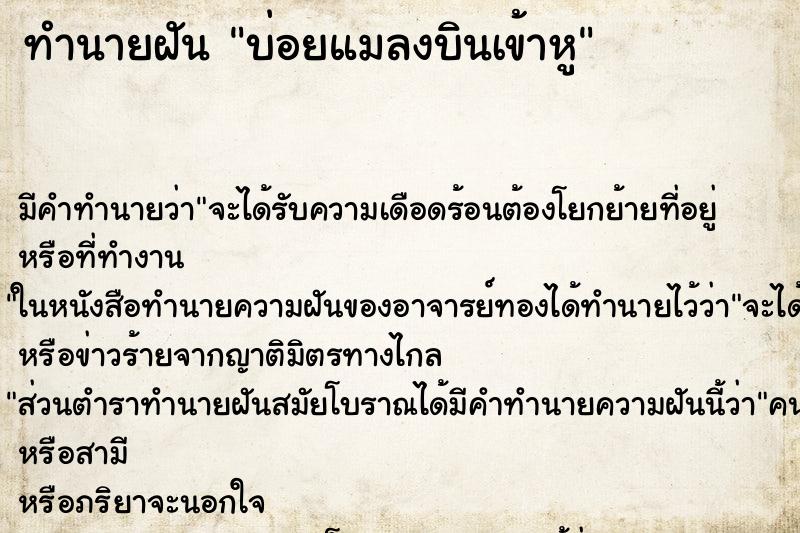 ทำนายฝัน บ่อยแมลงบินเข้าหู ทำนายฝัน บ่อยแมลงบินเข้าหู