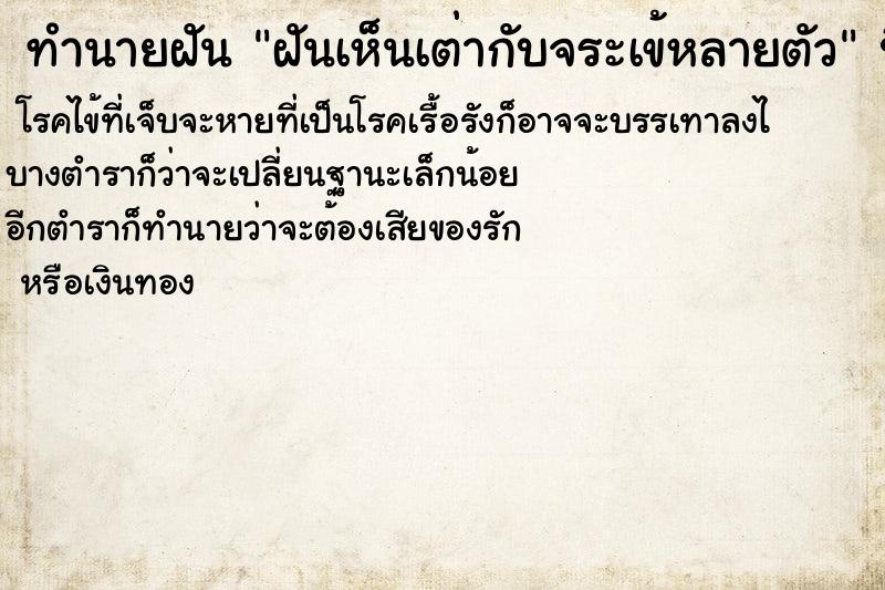 ทำนายฝันฝันเห็นเต่ากับจระเข้หลายตัว ทำนายฝันทำนายฝันฝันเห็นเต่ากับจระเข้หลายตัว
