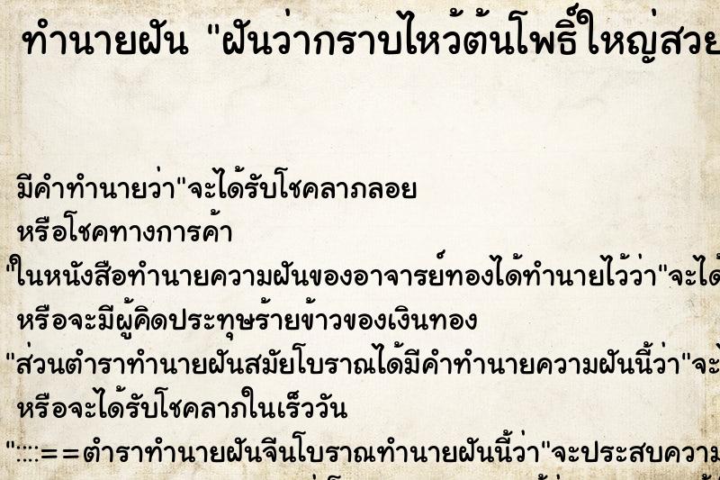 ทำนายฝัน ฝันว่ากราบไหว้ต้นโพธิ์ใหญ่สวยงาม ทำนายฝัน ฝันว่ากราบไหว้ต้นโพธิ์ใหญ่สวยงาม