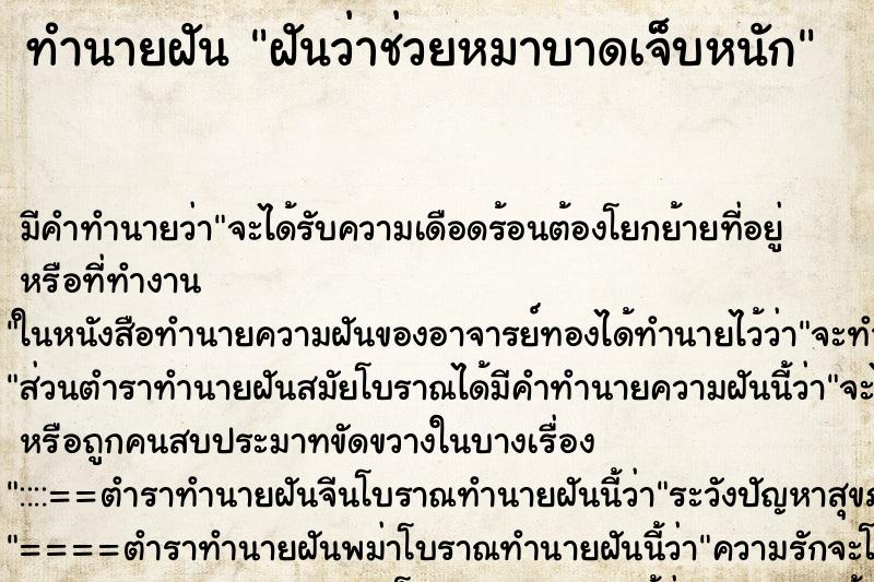 ทำนายฝันฝันว่าช่วยหมาบาดเจ็บหนัก ทำนายฝันทำนายฝันฝันว่าช่วยหมาบาดเจ็บหนัก