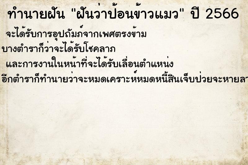 ทำนายฝันฝันว่าป้อนข้าวแมว ทำนายฝันทำนายฝันฝันว่าป้อนข้าวแมว