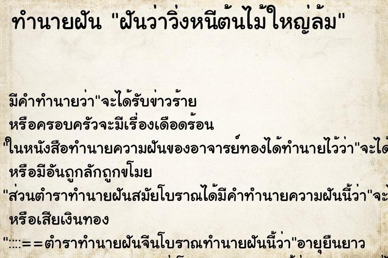 ทำนายฝันฝันว่าวิ่งหนีต้นไม้ใหญ่ล้ม ทำนายฝันทำนายฝันฝันว่าวิ่งหนีต้นไม้ใหญ่ล้ม