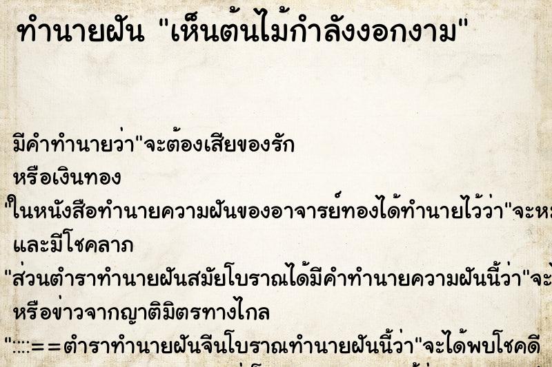ทำนายฝัน เห็นต้นไม้กำลังงอกงาม ทำนายฝัน เห็นต้นไม้กำลังงอกงาม