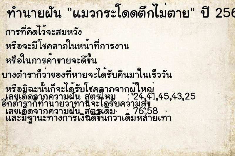 ทำนายฝันทำนายฝันแมวกระโดดตึกไม่ตาย
