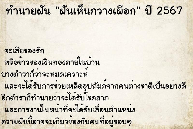 ทำนายฝันฝันเห็นกวางเผือก ทำนายฝันทำนายฝันฝันเห็นกวางเผือก