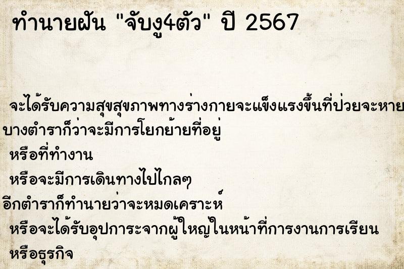 ทำนายฝันจับงู4ตัว ทำนายฝันทำนายฝันจับงู4ตัว