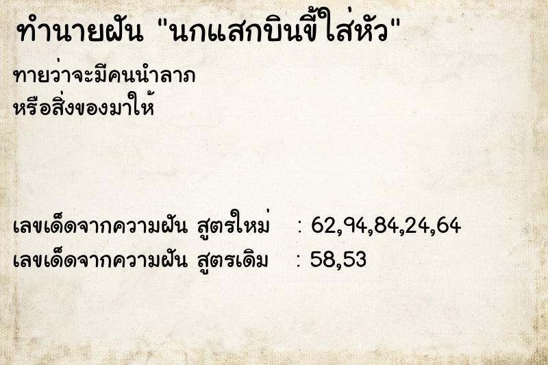 ทำนายฝัน นกแสกบินขี้ใส่หัว ทำนายฝัน นกแสกบินขี้ใส่หัว