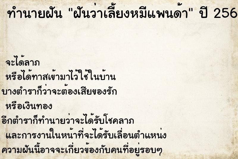 ทำนายฝันฝันว่าเลี้ยงหมีแพนด้า ทำนายฝันทำนายฝันฝันว่าเลี้ยงหมีแพนด้า