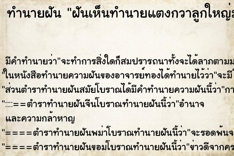 ทำนายฝันฝันเห็นทำนายแตงกวาลูกใหญ่มาก ทำนายฝันทำนายฝันฝันเห็นทำนายแตงกวาลูกใหญ่มาก