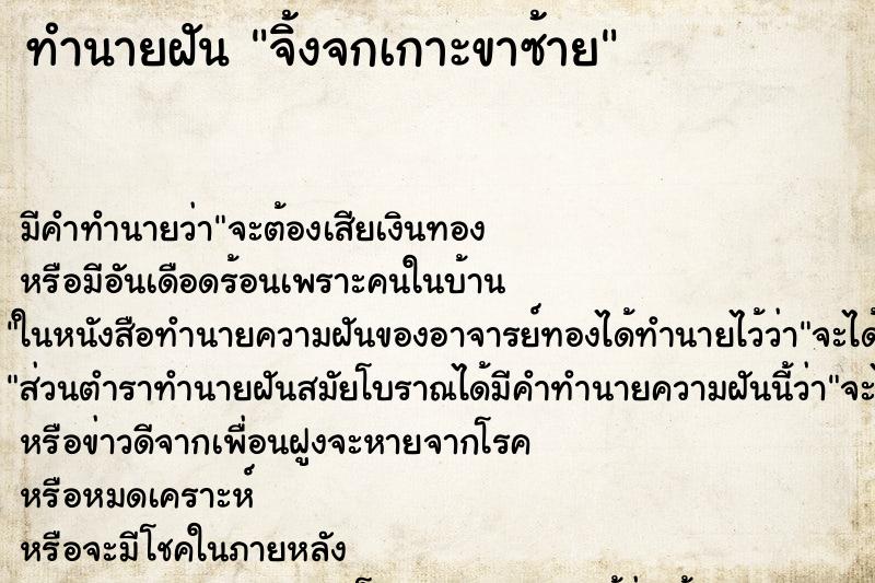 ทำนายฝัน จิ้งจกเกาะขาซ้าย ทำนายฝัน จิ้งจกเกาะขาซ้าย