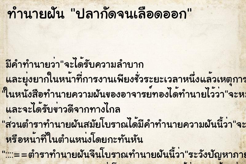 ทำนายฝันปลากัดจนเลือดออก ทำนายฝันทำนายฝันปลากัดจนเลือดออก