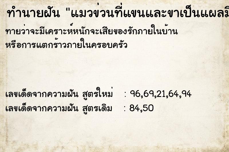 ทำนายฝันทำนายฝันแมวข่วนที่แขนและขาเป็นแผลมีเลือดไหลวัน