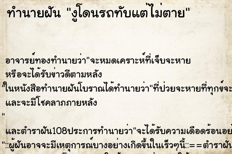 ทำนายฝัน งูโดนรถทับแต่ไม่ตาย