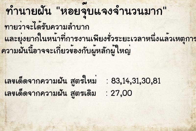 ทำนายฝันทำนายฝันหอยจุ๊บแจงจำนวนมาก